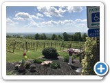 22day 2 four friends vineyard